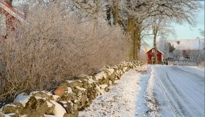 Bilden visar en snöig väg och en kallmur.
