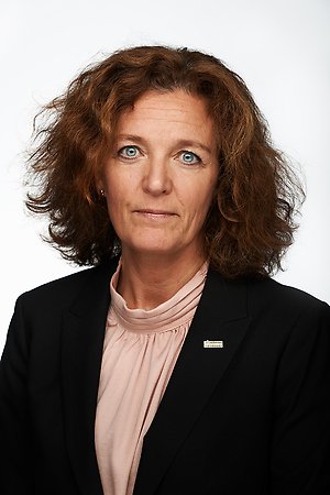 Ulrika Strandroth Frid, kommundirektör 